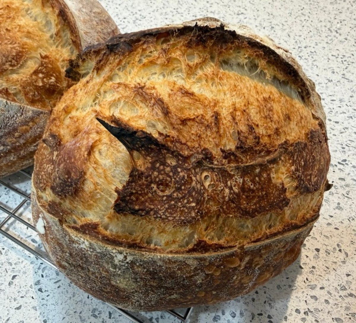 Sourdough loaf baked by class guest Elizabeth