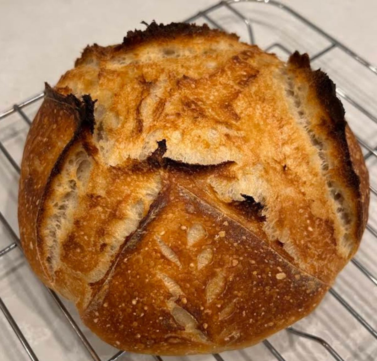 Scored sourdough loaf baked by class guest Gladys