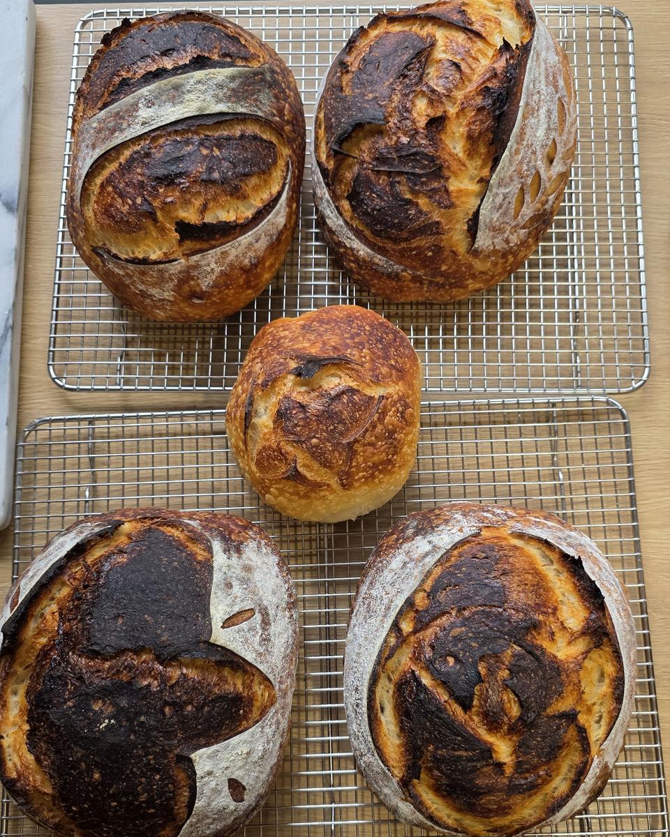 Student sourdough loaves on cooling racks