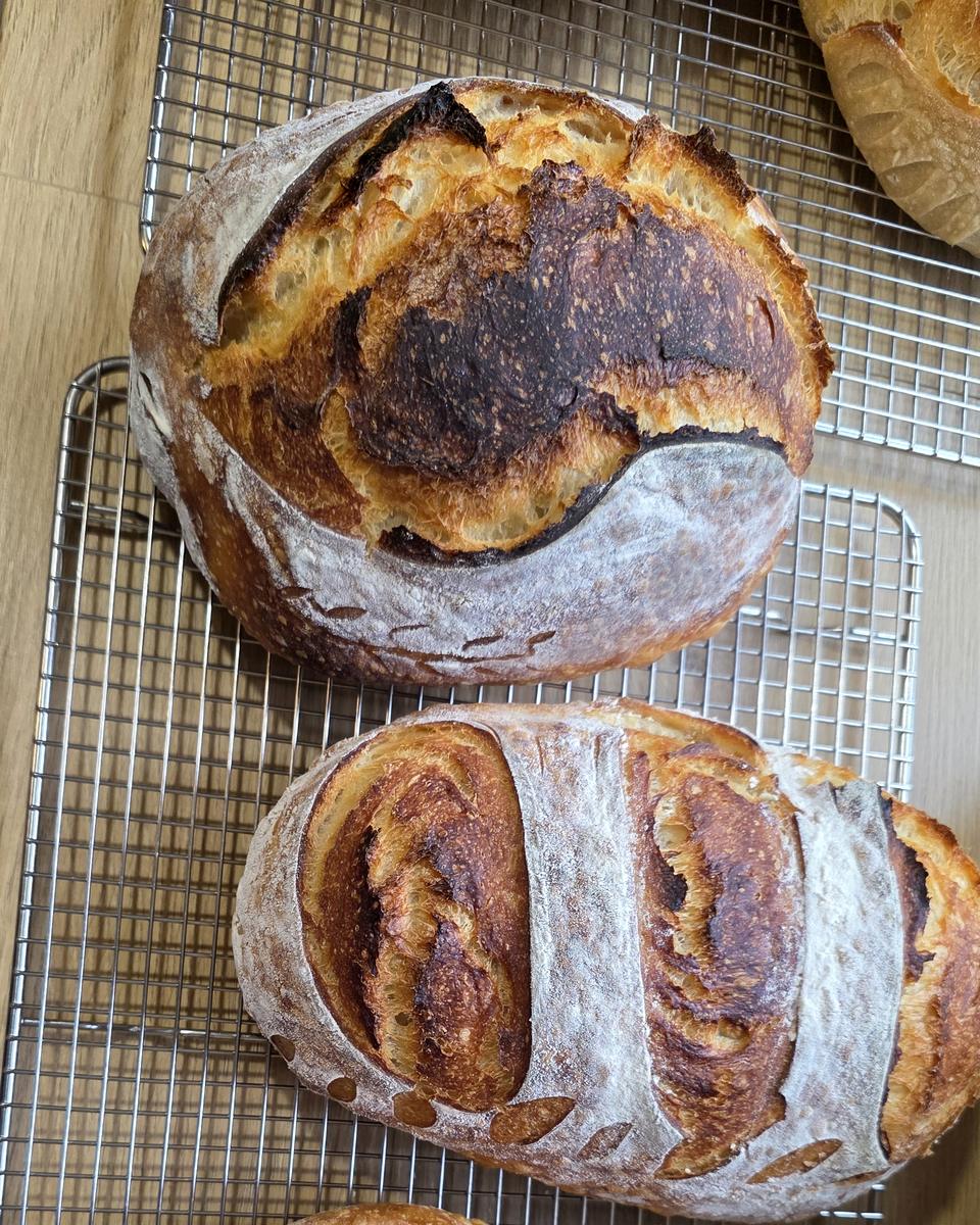 Student sourdough loaves fresh from class